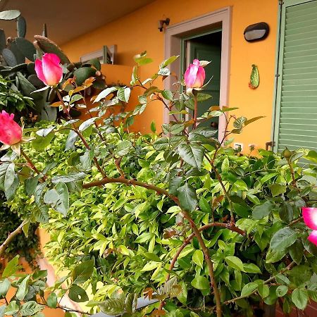 Casa Marta Bed & Breakfast Маса Екстериор снимка