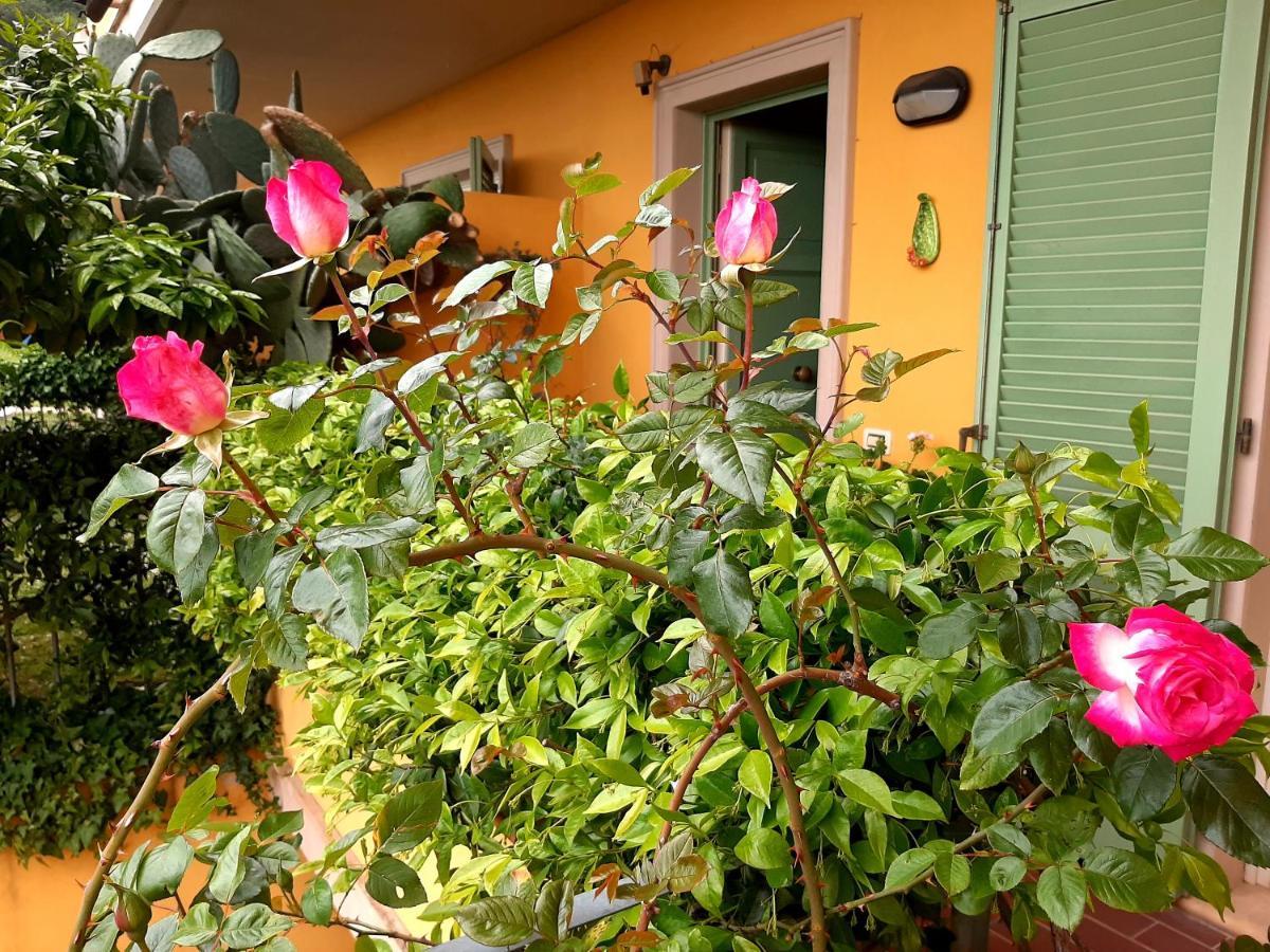 Casa Marta Bed & Breakfast Маса Екстериор снимка